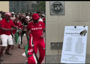Kenyans In The United States Storm Imf