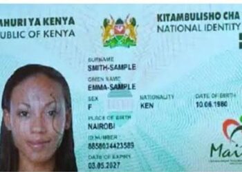 Maisha Namba
