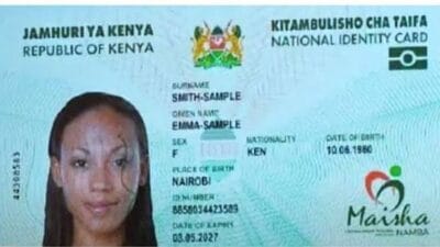 Maisha Namba
