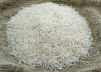 Plastic rice