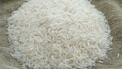 Plastic rice