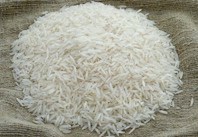 Plastic rice