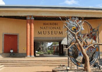National Museum Of Kenya Snake Park