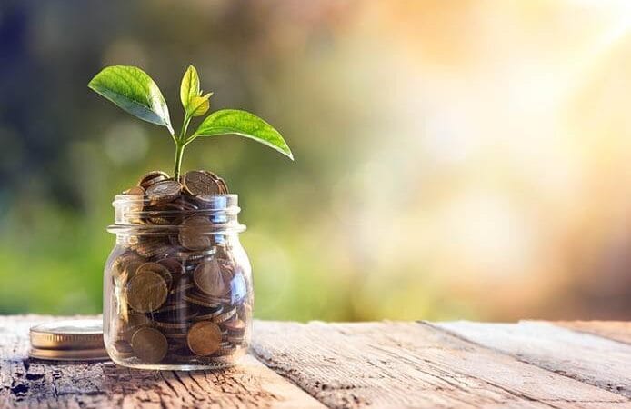 Money Market Fund Cic