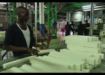 Suntory Beverage & Food Kenya Limited Employees