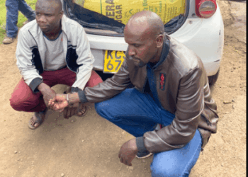 Drug Traffickers