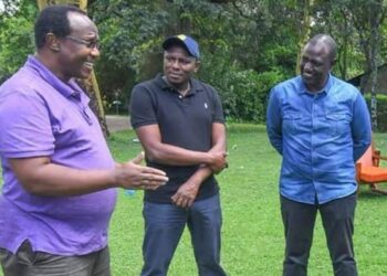 David Ndii With William Ruto