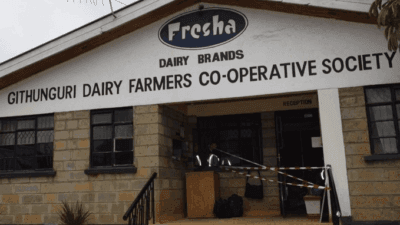 Fresha Dairy