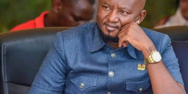 Kirinyaga Senator James Kamau