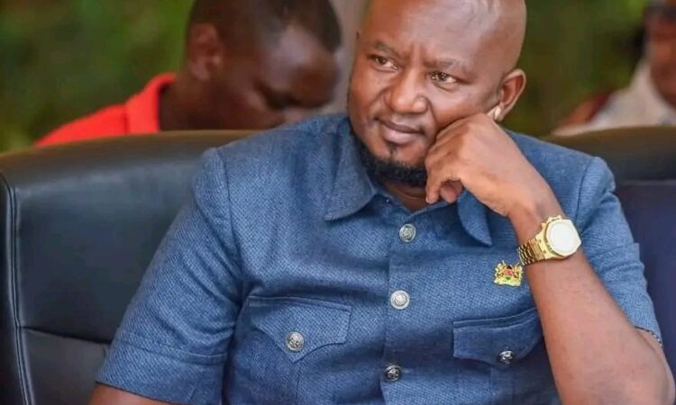 Kirinyaga Senator James Kamau