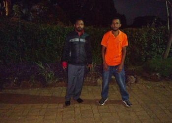 Longton Brothers