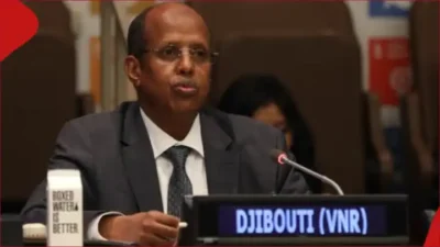 Mahamoud Ali Youssouf