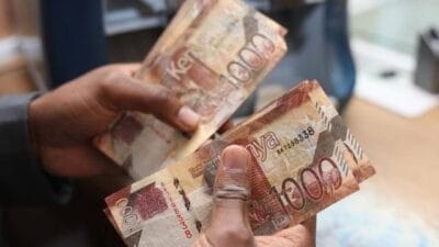 Saccos Financial Stability In Kenya