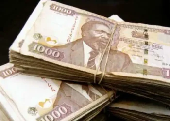 Ideas To Make Money In Kenya