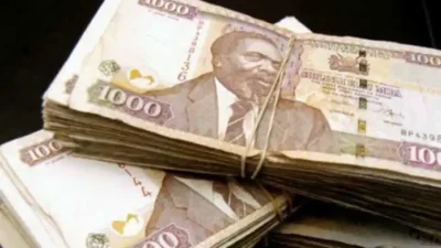 Ideas To Make Money In Kenya