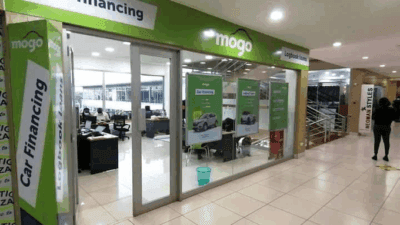 Mogo Capital Photo