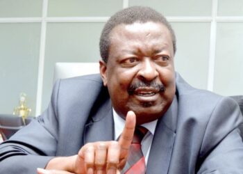 Musalia Mudavadi Photo
