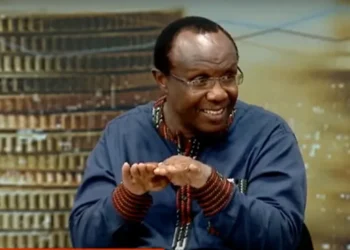 David Ndii Graph And Photo