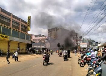 Embu Demostrations