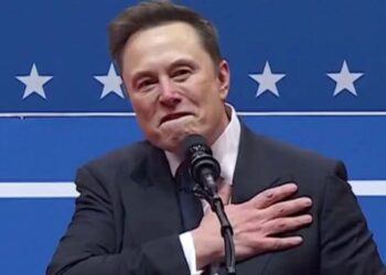 Nazi Elon Musk Or Not