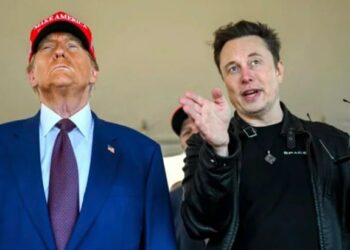 Elon Musk And Donald Trump