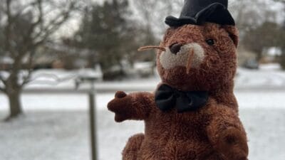 Groundhog Day 2025