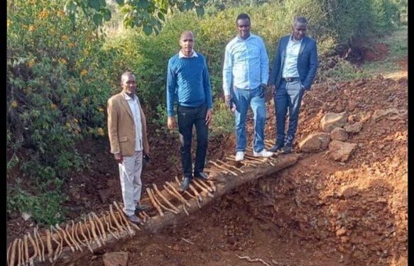 Mca Launches A Bridge