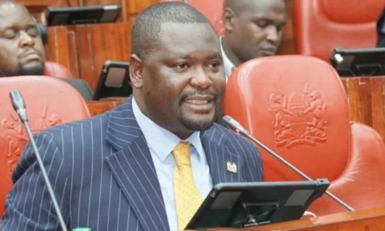 Mbeere North Mp Geoffrey Ruku Photo