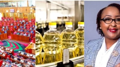Edible oil scandal