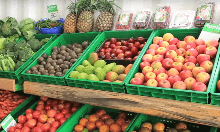 How to start a small business in nairobi