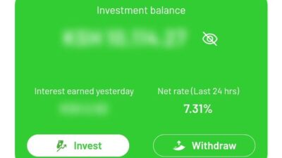 Ziidi money market fund