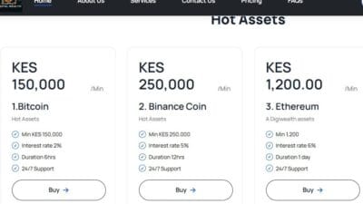 Digiwealthub kenya