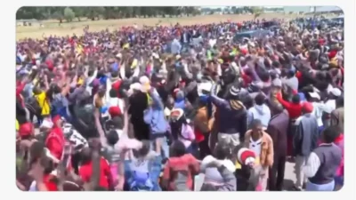Kimani ichung’wah heckled video