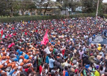 Mt kenya political shifts