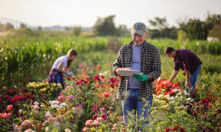 Sustainable business ideas for scotland