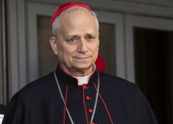American cardinal prevost