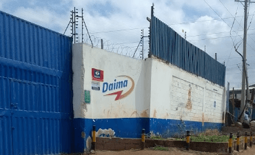 Daima milk and daima yorghut