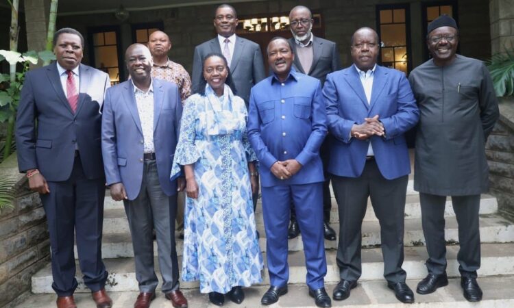 Opposition in kenya