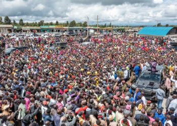 President ruto allocated 6,000 acres of kedong ran
