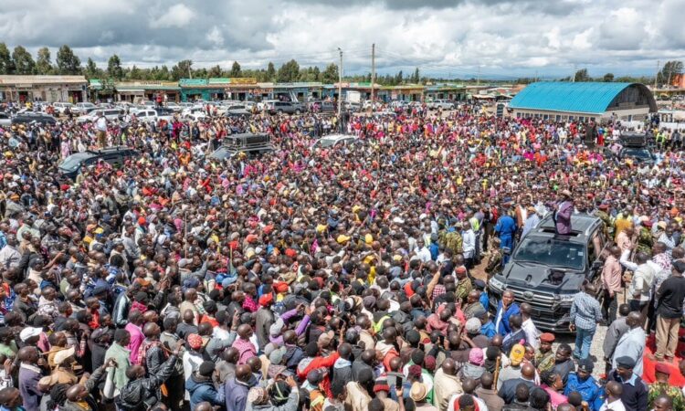President ruto allocated 6,000 acres of kedong ran
