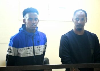 Somali national, fitsu haile michael, and a kenyan, jaafer rahow salat