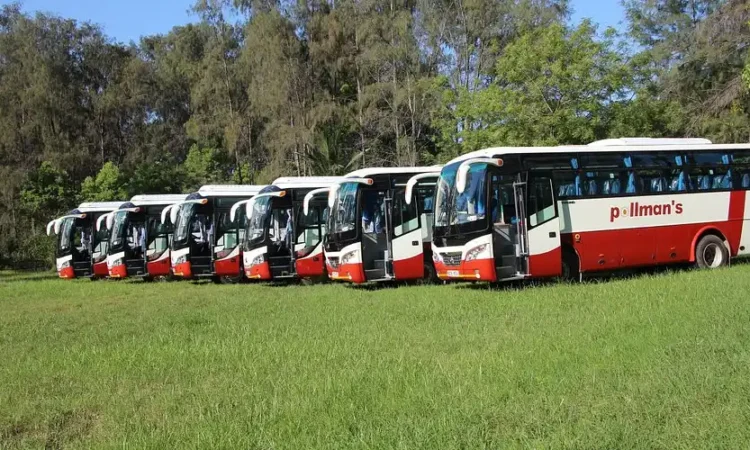 Pollimans luxury transfer buses