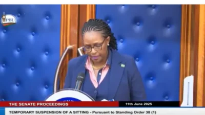 Ipoa vice chair ann mwangi