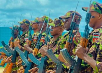 Kdf photo