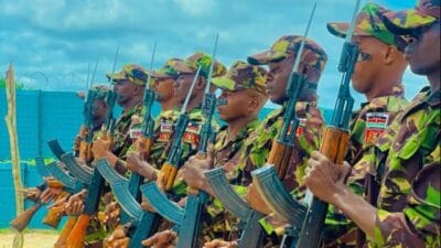 Kdf photo
