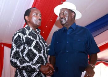 Kalonzo and raila
