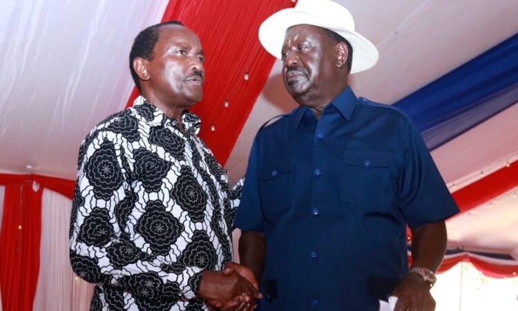 Kalonzo and raila