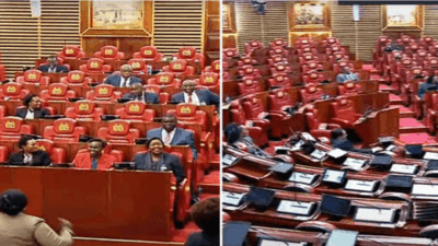 Kenyan parliament