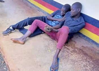 Man arrested for stealing