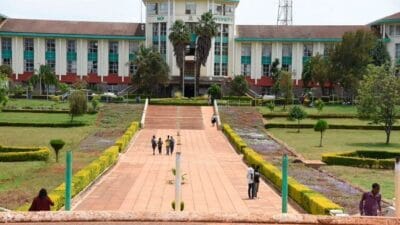 Moi university